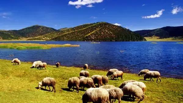 想带着你一起去旅行文案,如果有可能我带你去旅行