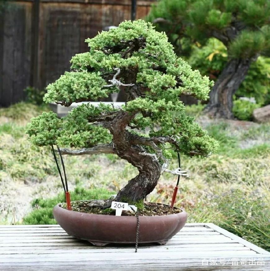 沉香烧过后香灰怎么弄出来,沉香烧完灰是什么颜色的好