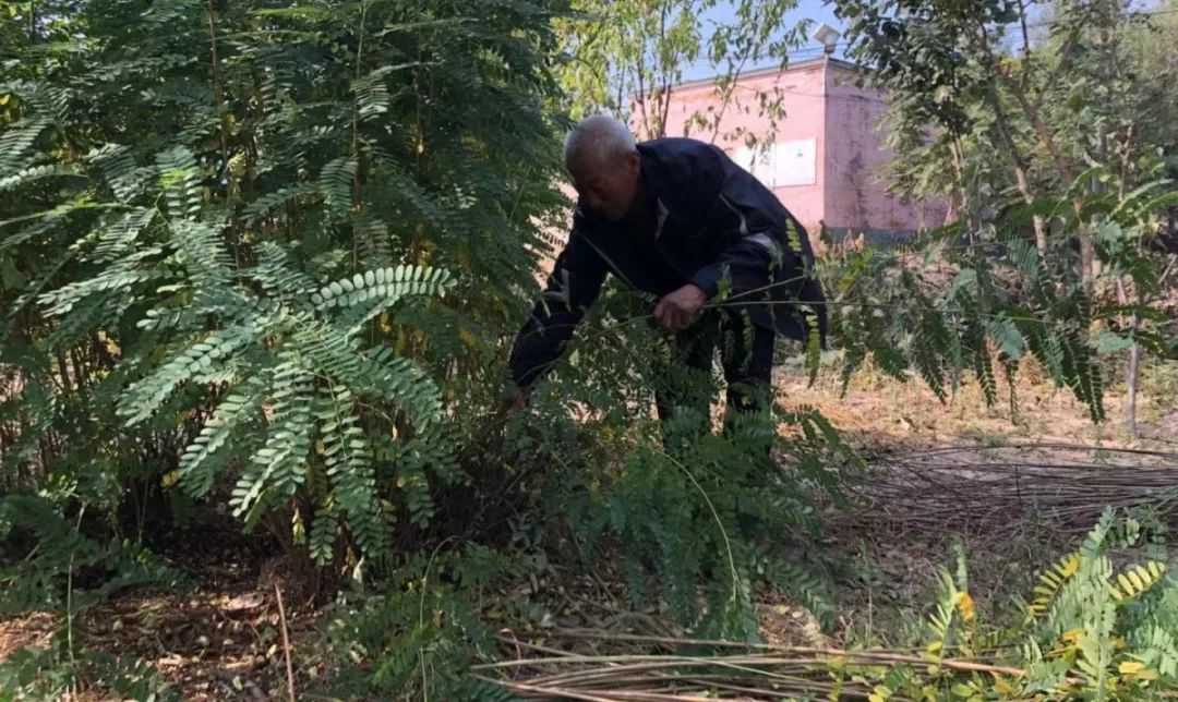 指尖上的舞蹈教案,编篓子的舞蹈