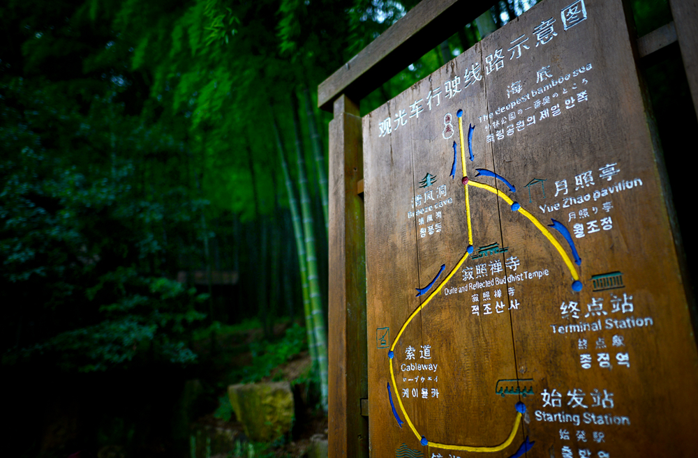 宜兴竹海的风景,推荐一个好的地方宜兴竹海