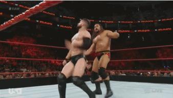 wwe最弱必杀技第一名,wwe踢中要害