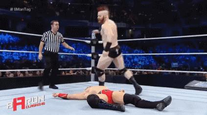 wwe最弱必杀技第一名,wwe踢中要害