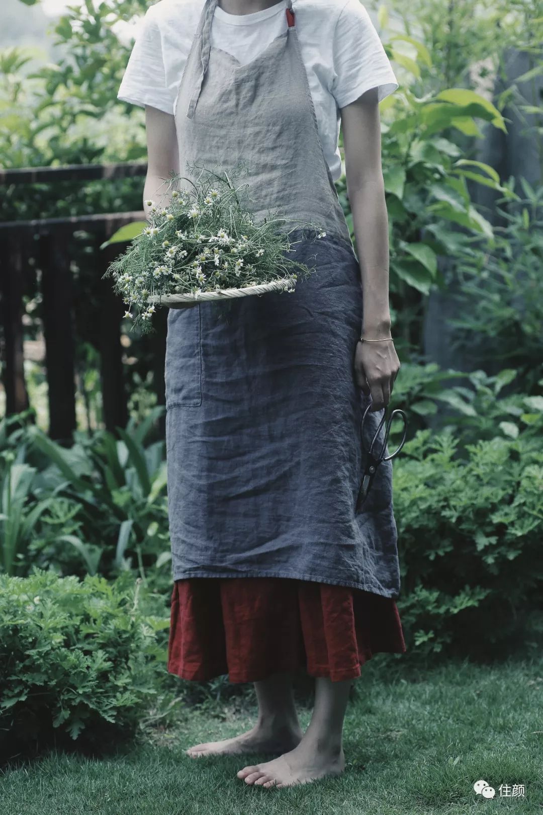 结束北漂生活，她花50w打造自己的私人庇护所，慢生活从此开始