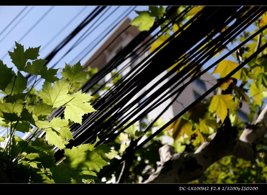 松下lx100m2有效像素,松下lx100ii深度评测