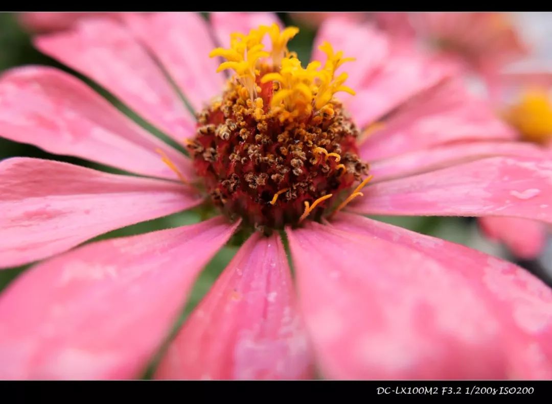 松下lx100m2有效像素,松下lx100ii深度评测
