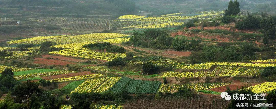 金堂秋色,秋天金堂十大必去景点