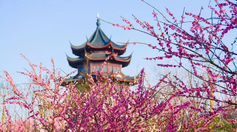 上海最新二手房房价是涨还是跌,上海二手房房价2019年降多少