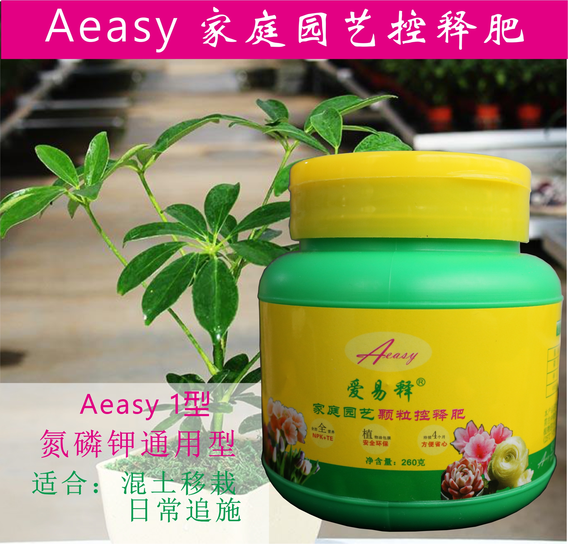 绌鸿胺浣充汉鍏拌姳璇存槑,绌鸿胺浣充汉鑺卞崏