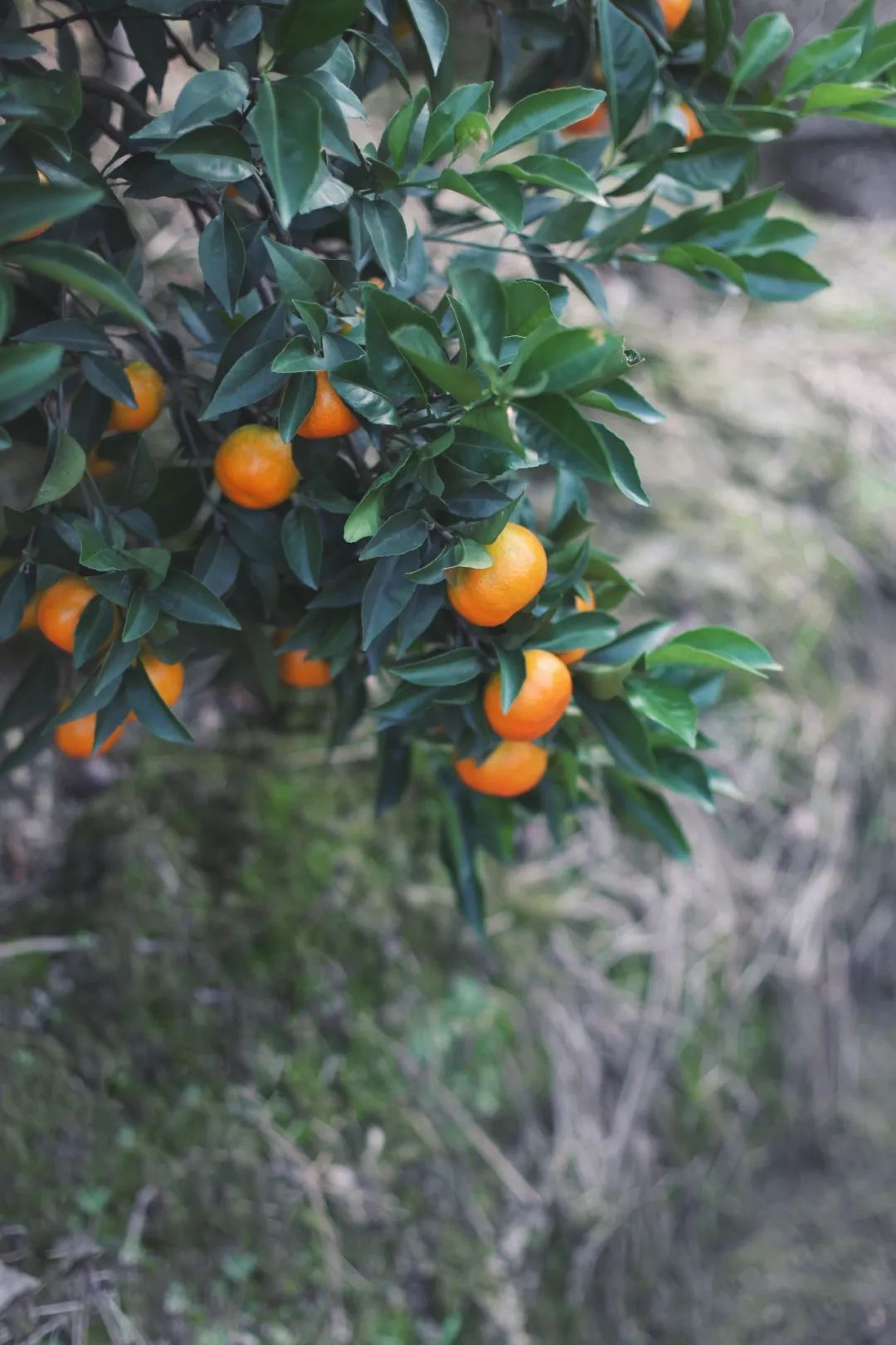 没有人来人往的城市,没有人山人海的地方
