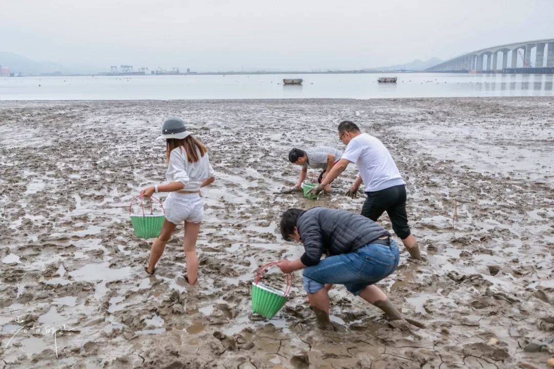 没有人来人往的城市,没有人山人海的地方