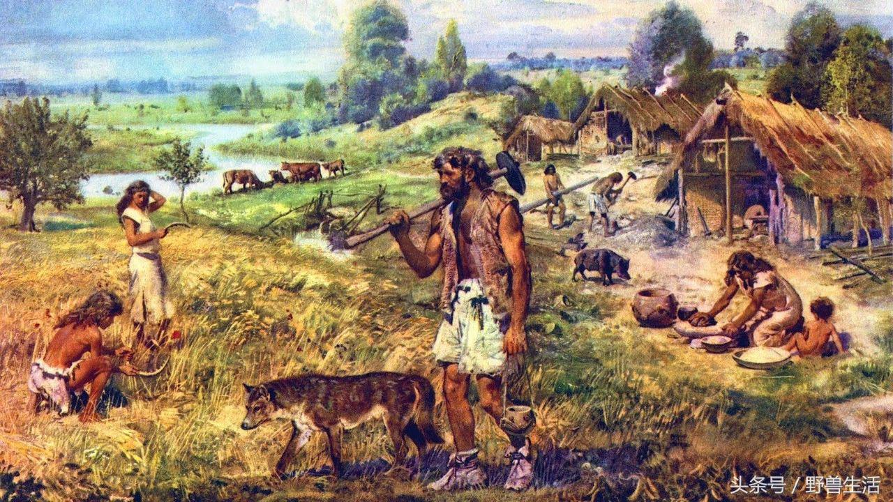 碳水化合物都是对身体有害的吗,不吃或少吃碳水化合物的危害