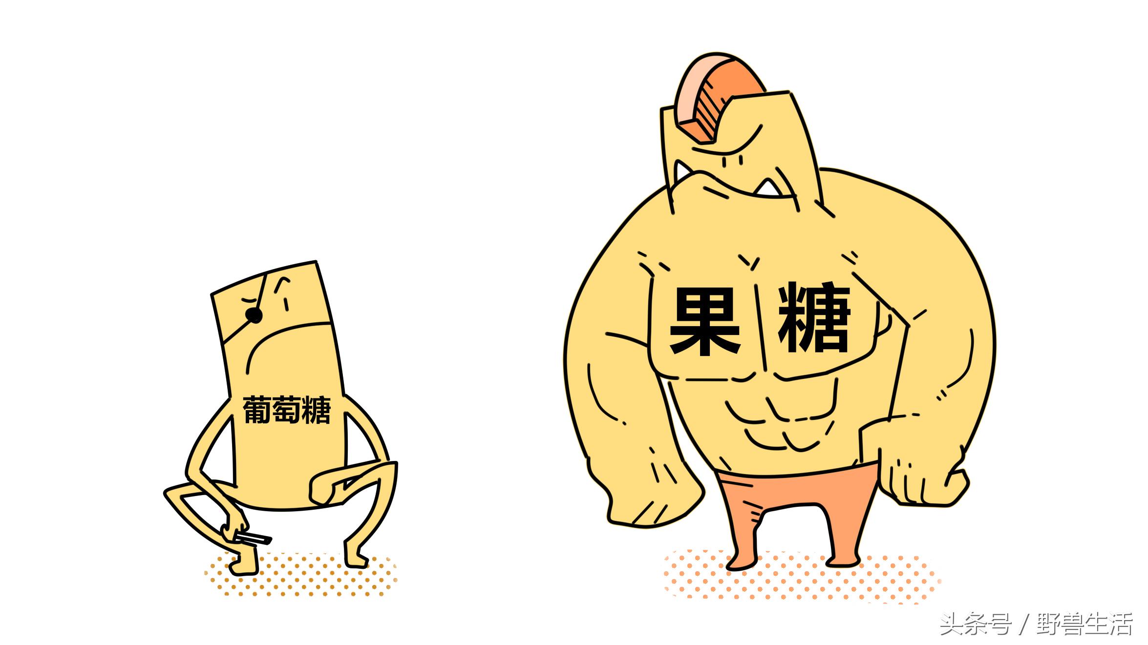 碳水化合物都是对身体有害的吗,不吃或少吃碳水化合物的危害