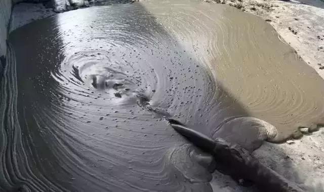 混凝土实用知识,混凝土的十大真相