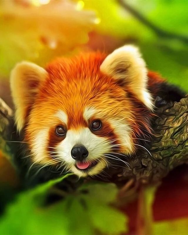 百慕大黑竹沟未解之谜,指南针失效