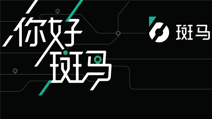 升级斑马,升级的斑马