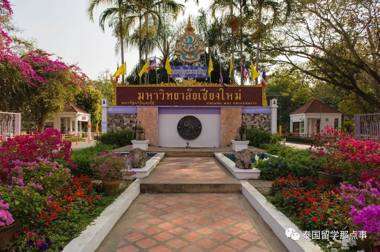 我来自泰国泰语,泰国清迈大学留学有感