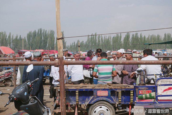 令人大开眼界的车,喀什牛羊大巴扎有意思吗