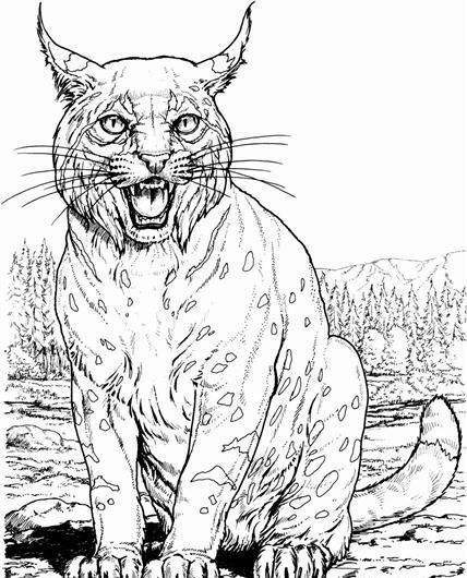 ai插画入门教程学习,怎样学手绘插画零基础该如何入门