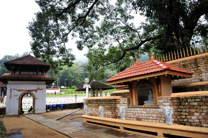 人文摄影斯里兰卡,锡兰风景