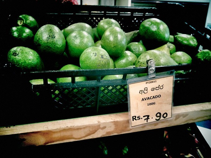 人文摄影斯里兰卡,锡兰风景