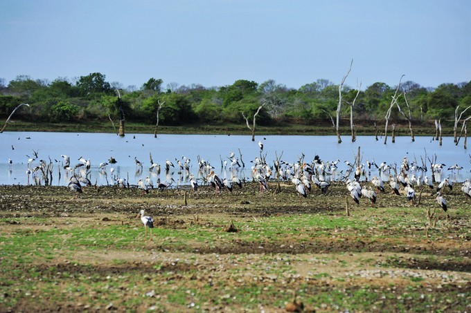 人文摄影斯里兰卡,锡兰风景
