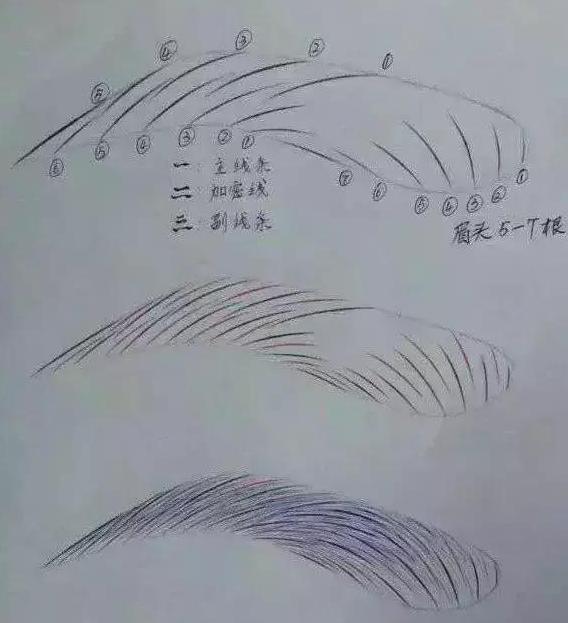 梵娅纹绣半永久线条眉,纹绣线条眉的排列和画法