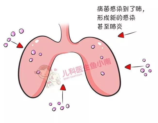 儿科医生鱼小南头条号,儿科医生鱼小南真相