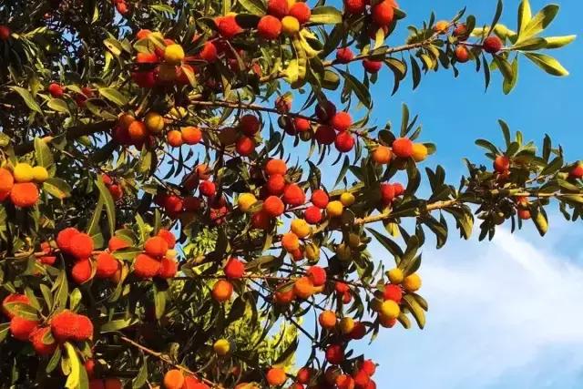 40岁大叔改造老宅,一位大叔改造农村自建房