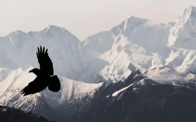 代购底层逻辑,苦逼代购的几件事