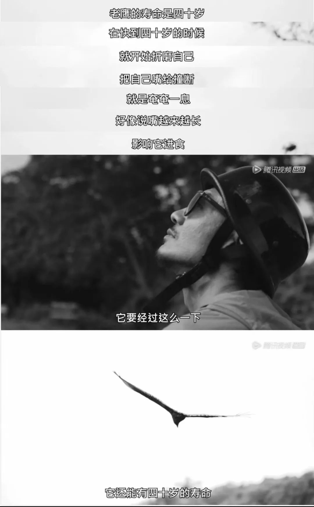 鏈存爲鏄笉鏄敓娲诲お鑹伴毦,鏈存爲鎴戜笉璁ゅ彲