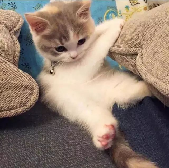 “如果被萌坏了,我帮你叫110救护车!”