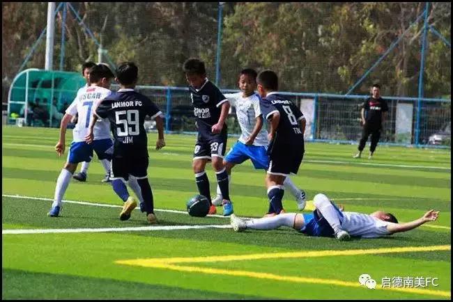 激战！周末赛事启德南美小雄狮以球会友！