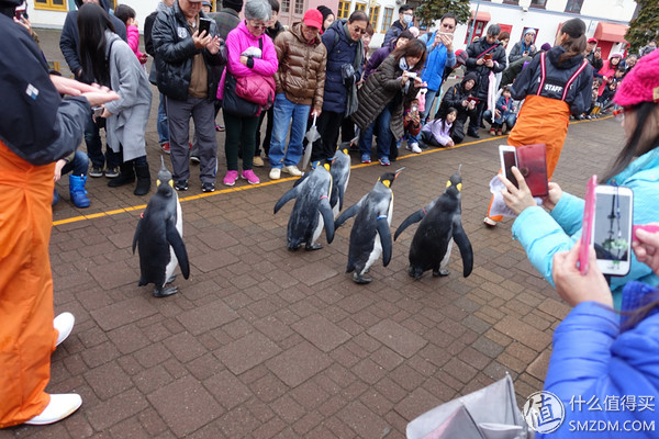 日本旅游签证流水账单,日本旅游要看账户流水不