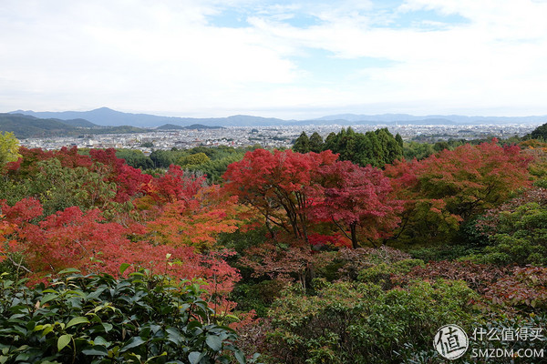 日本旅游要看账户流水不,日本旅行换钱攻略