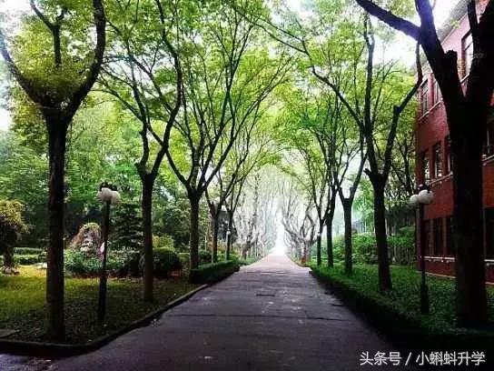 松江二中和曹杨二中哪个好,松江二中和松江一中哪个好