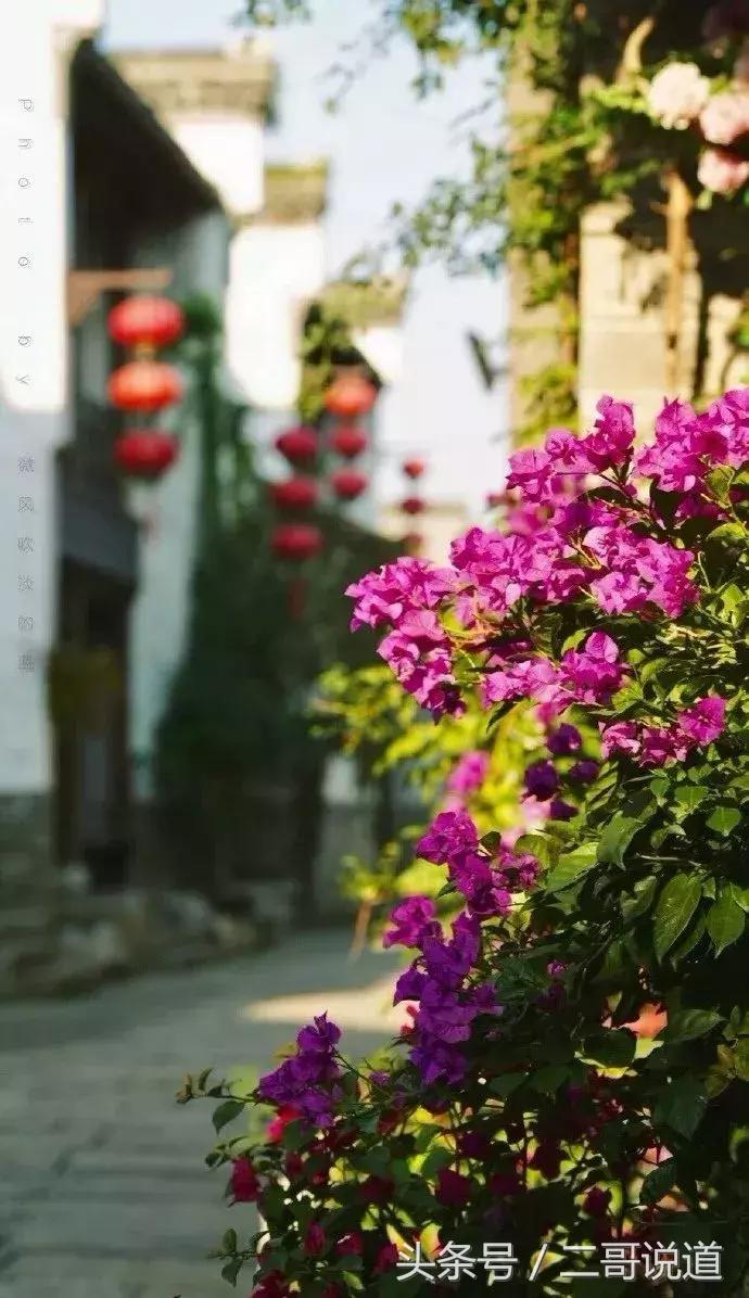 来南京一定要逛逛老门东风景区,南京老门东和老东门