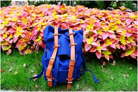 上海深度一日游,浦东金桥镇一日游