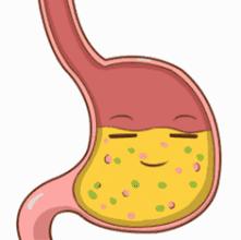 没食欲反酸中成药,午饭后反酸烧心咋办