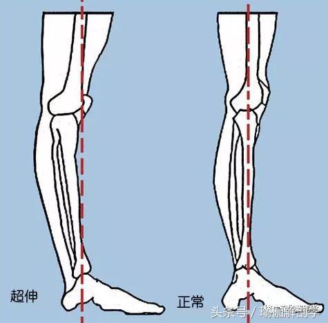 初学者必懂的13个基本瑜伽常识,瑜伽拜日式108遍口令视频中文