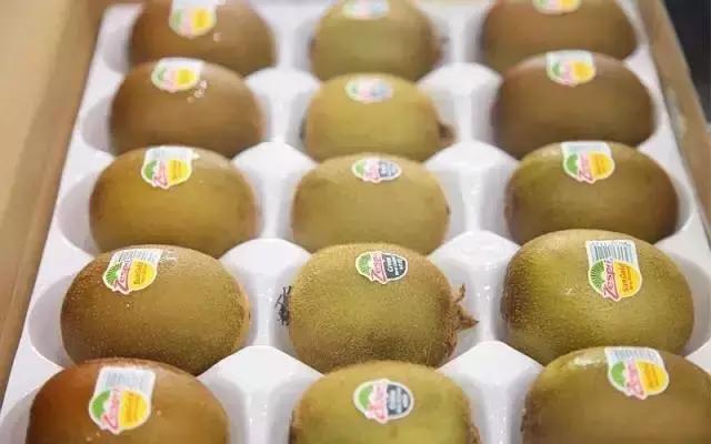 新西兰小岛国,是如何将一个猕猴桃送上水果行业的“神坛”