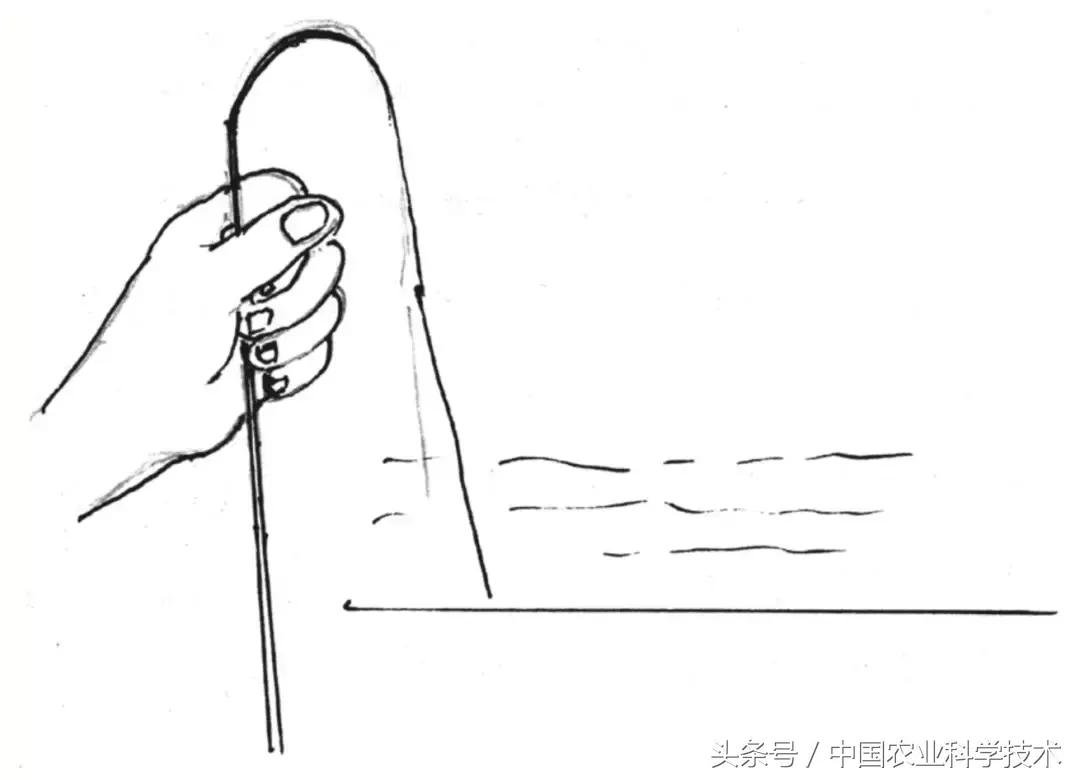 沈凡｜百样钓具实用图解——钓鱼达人必备！