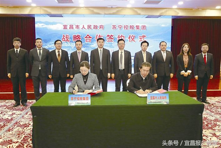 苏宁控股集团最新信息,苏宁控股集团发展