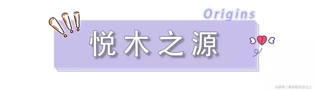 双十一都有什么最值得购买的东西,双十一最值得买的东西浅谈