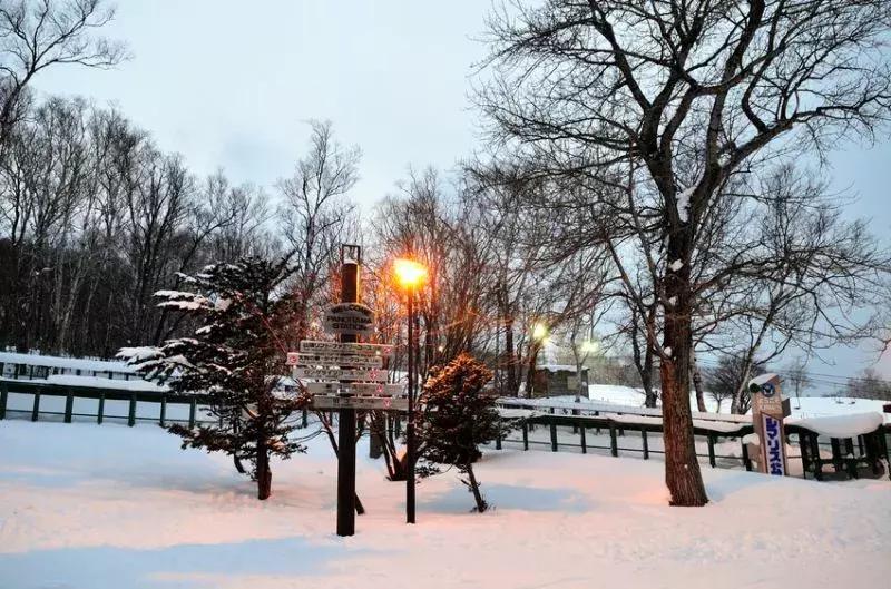 唐嫣罗晋维也纳结婚请帖地点,喜糖糖结婚