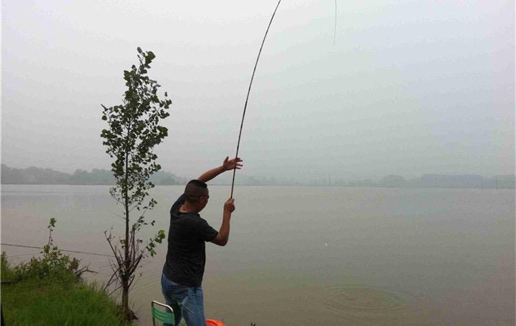 白鲳鱼怎么钓路亚,淡水白鲳鱼用什么鱼饵钓上钩最快