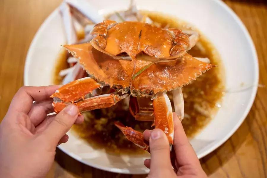 逛水族馆满脑子都是海鲜,水族馆里的海鲜
