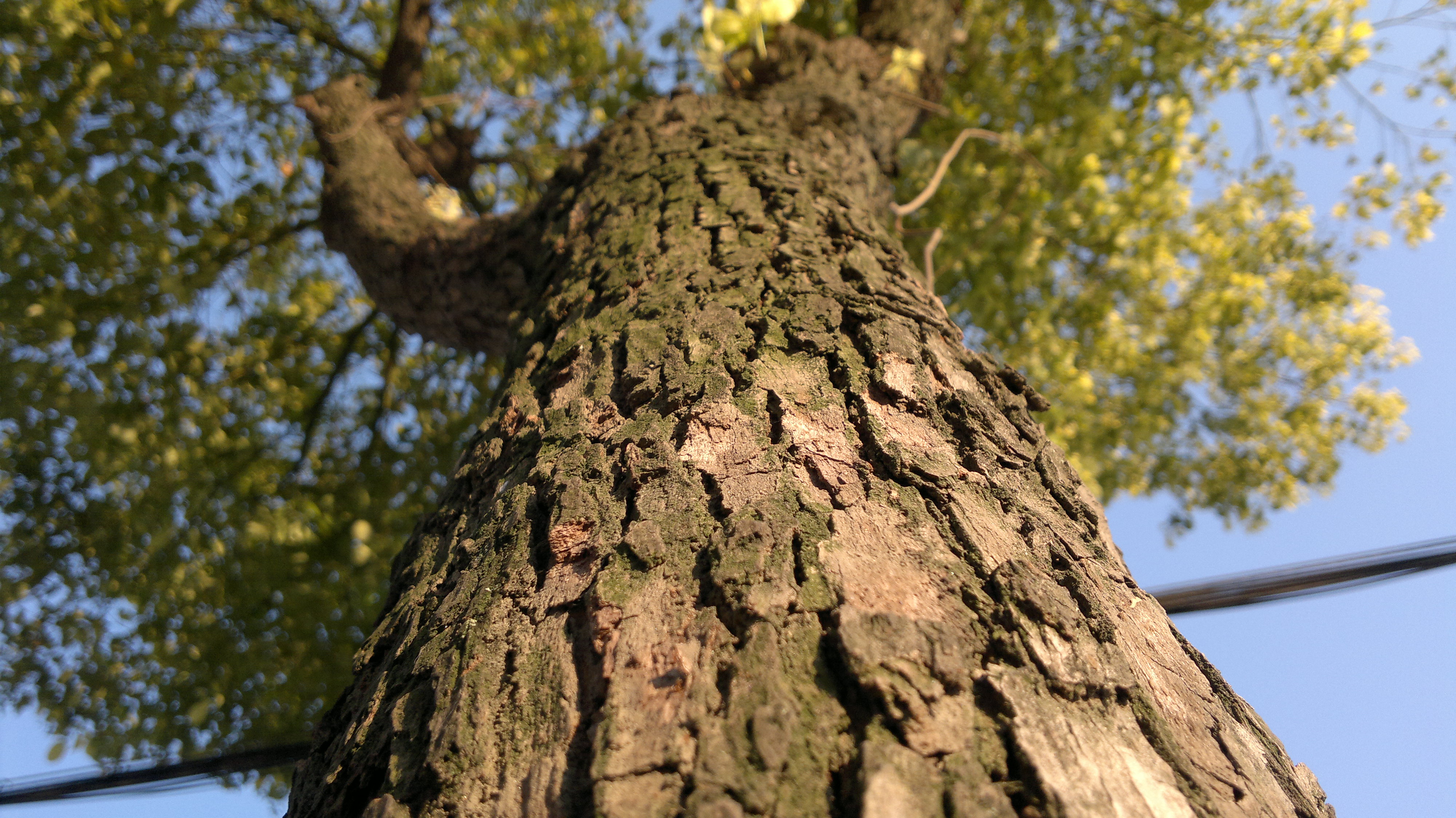 小米mix3能录屏幕吗,诺基亚mix3