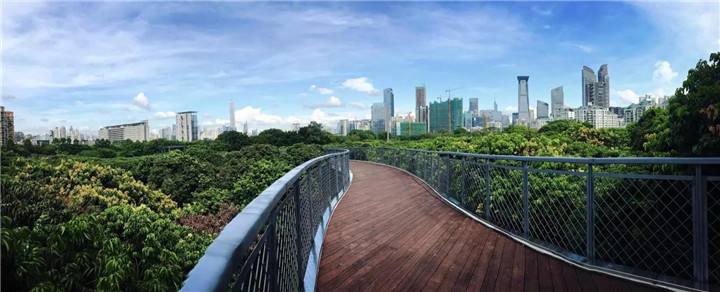 深圳周边遛娃免费地点推荐,深圳南山遛娃好去处