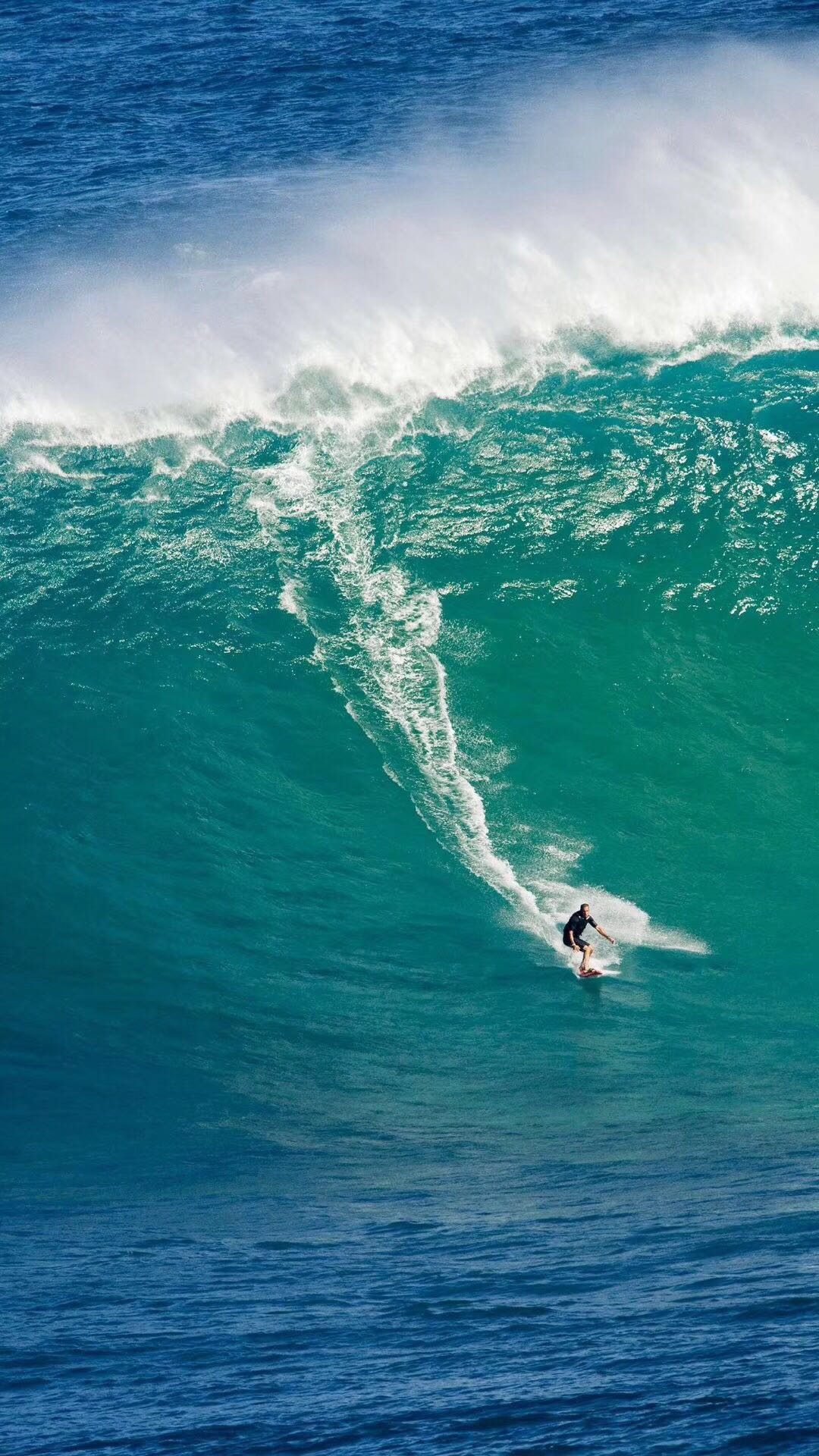 期货交易中的精确判断,期货交易知趋势懂节奏看力度