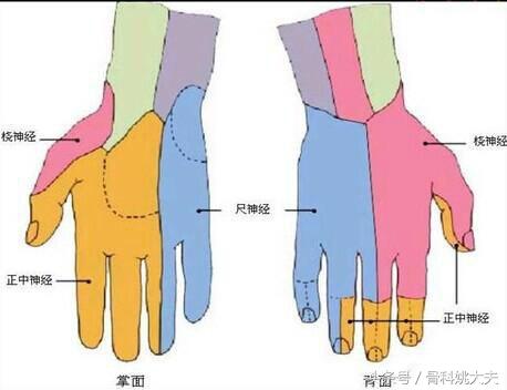 手指麻木可能是身体在求救,如何判断手指麻木的原因